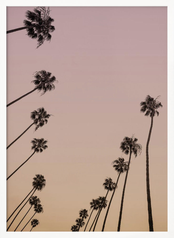 Cali Cathedrals 05 Poster